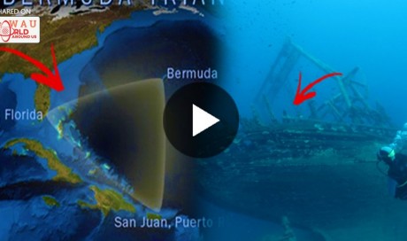 Scientists Claim They’ve Finally Unlocked The Mystery Surrounding The Bermuda Triangle 