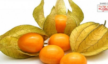 This Small Fruit Is A Real Treasure: It Cures Prostate, Combats Constipation and Prevent Stomach Cancer, Colon and Intestine