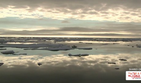 Humans Have Filled The Pristine Arctic Ocean With 300 Billion Pieces Of Floating Plastic