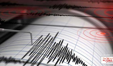 Earthquake kills two, injures hundreds in Iran: state media