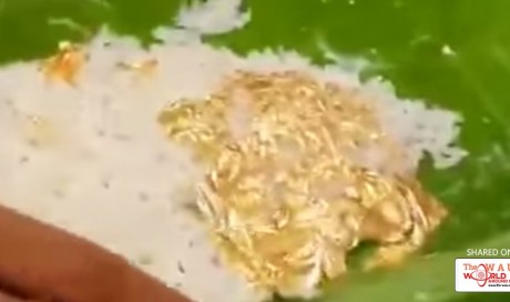 Gold Rice Served by Hyderabad Caterer in Viral Video Looks Delicious