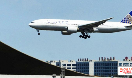 United Airlines Flight to Washington Forced to Turn Back to Beijing After Passenger Clashes With Flight Attendant