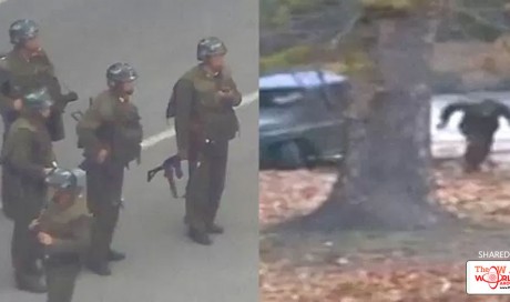 North Korean defector shot by soldiers while escaping over the border in dramatic video