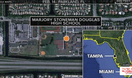 Ex-student Kills 17 in Shooting Spree at Florida High School