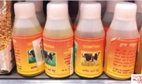 Dubai supermarkets not selling cow urine, says municipality
