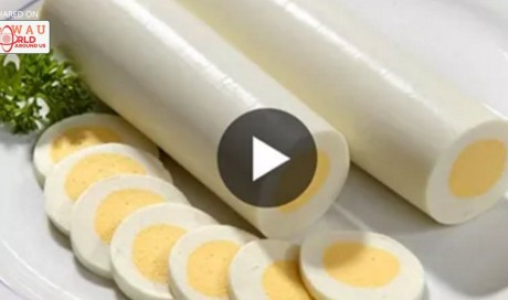 Ever Wondered How Long Eggs Are Produced? Here You See!