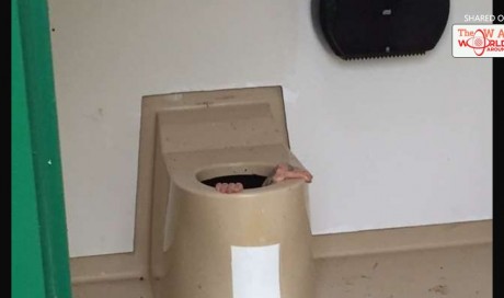Man stuck down a toilet over lost phone