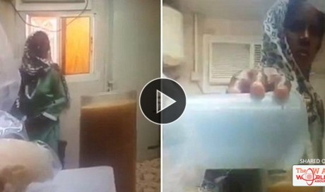 Hidden Camera Catches Maid Pouring Urine Into Her Boss's Juice | Blog | Life | WAU