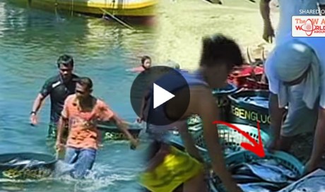WATCH: Filipino Fishermen Take Home Buckets of Fishes From the Scarborough Shoal!