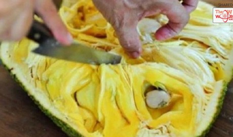 Scientist Reveals The Most Powerful Cancer Killer - Jackfruit