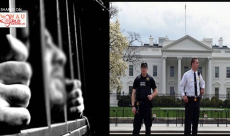 Man jailed; claimed bomb in White House