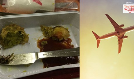 Passenger finds dead COCKROACH in flight meal