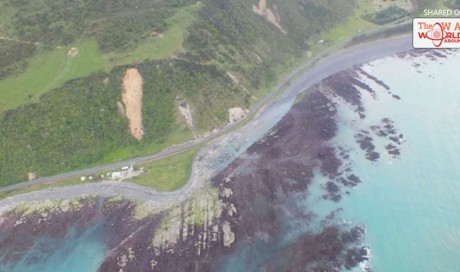 New Zealand Quakes Caused Seafloor To Rise Upwards By 2 Meters 