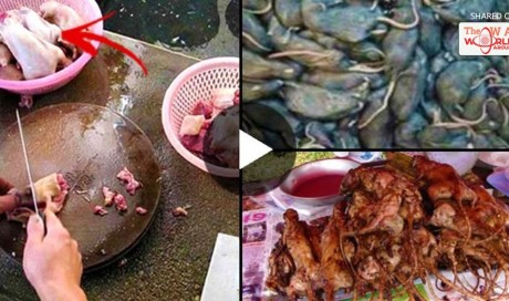 WARNING: Chinese Sellers Are Selling Rat and Fox Meat as 'Boneless Chicken Wings and Muttons'