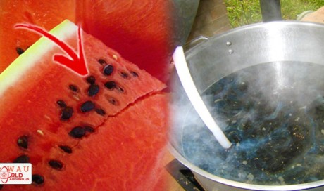 You'll Stop Throwing Away Watermelon Seeds When You See What Happens When You Boil Them! Amazing!