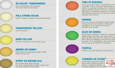 What The Urine Color Reveals About Your Health
