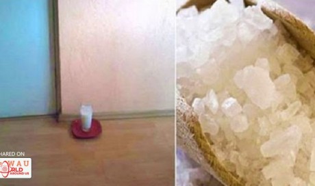 Just Put A Glass Of Water With Grain Salt, Vinegar And Water In Any Part Of Your House. After 24 Hours, You’ll Be Very Surprised!