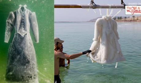 Artist Leaves Dress In The Dead Sea For 2 Months And It Turns Into Glittering Salt Crystal Masterpiece