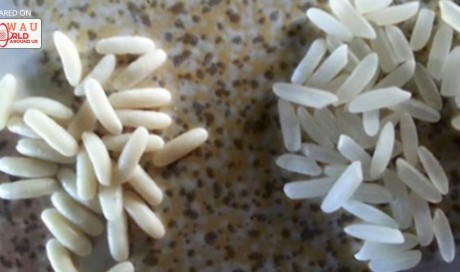 Fake Rice is Everywhere! Find Out How To Recognize Real From Fake Rice