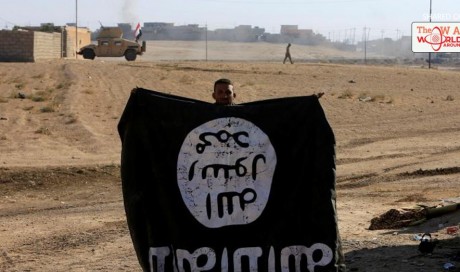 U.S. estimates 50,000 Islamic State fighters killed so far: U.S. official