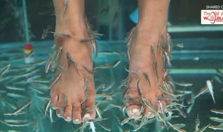 Do You Want to Try Out a Fish Spa? Know The Risks first—and learn the safest way to relax!