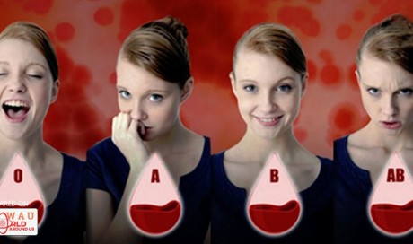  Here Are The 10 Things That Everyone Needs To Know About Their Blood Type! Must Read!