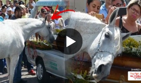 This Man Passed Away Suddenly Then His Horse Breaks Down at the Funeral After Smelling the Casket! MUST WATCH!