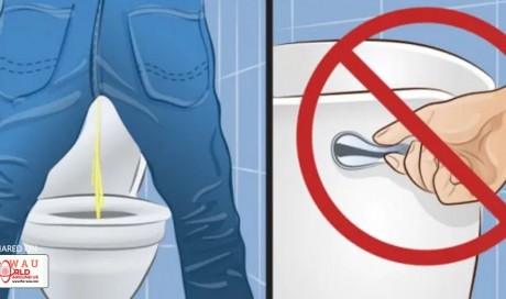 Reasons Why You Should Not Flush Toilet After Peeing! Many Do Not Know This…
