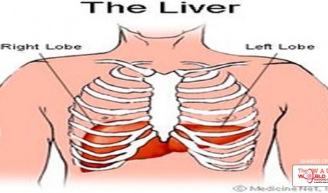 Cure Liver Disease By Recognizing The Signs