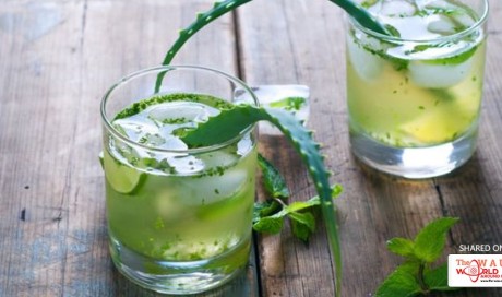 7 Reasons to Drink Aloe Vera Juice Everyday