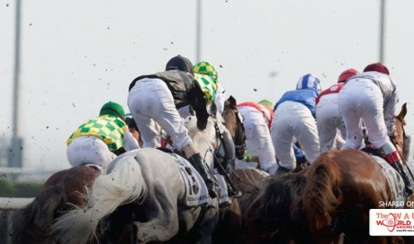 Meydan Races January 28