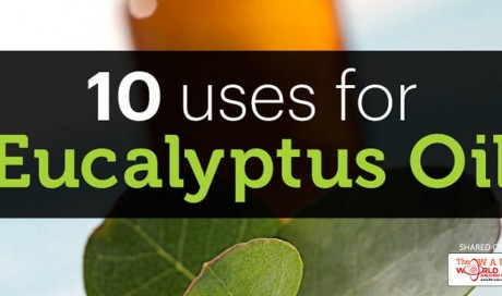 Top 10 Eucalyptus Oil Uses and Benefits