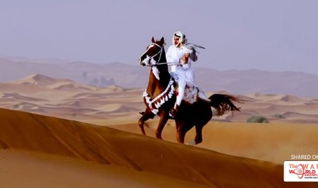 Dubai International Horse Fair
