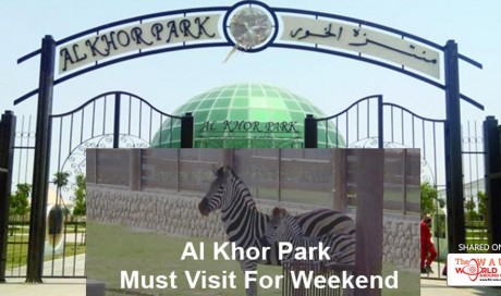 Al Khor Park, recently renovated at QR250 million, having a whopping area of 240,000 square metres, caught our fancy, and we decided to explore the place during a family day out.