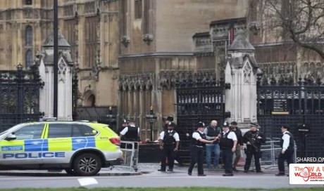Parliament shooting: Knifeman ploughs into pedestrians before being shot by police in Westminster 'terrorist attack'
