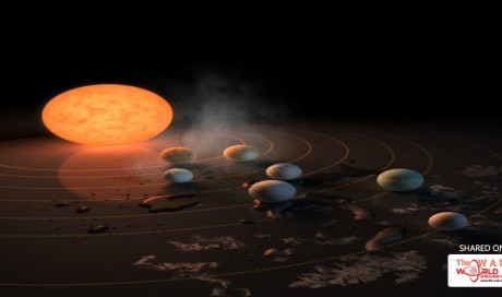 Seven planets, including three habitable ones, found around ultra-cool dwarf star (Synopsis)