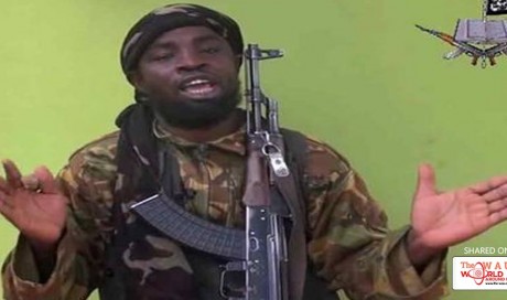 Boko Haram kidnap 22 girls, women in northeast Nigeria