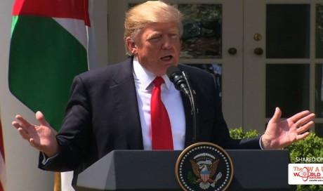 Trump: 'I now have responsibility' when it comes to Syria