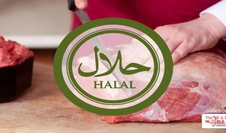 What is Halal? Why should you eat Halal even if you are not a Muslim!