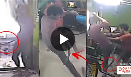 SHOCKING! This Snake Slithers Into an Internet Shop and Causes Everyone to Panic! Watch the Incident Here!