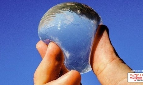 This Edible Water Bottle Could Change Everything