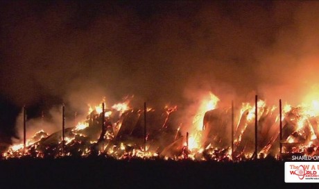 Breaking News: 2,000 Acre Fire In Fresno County