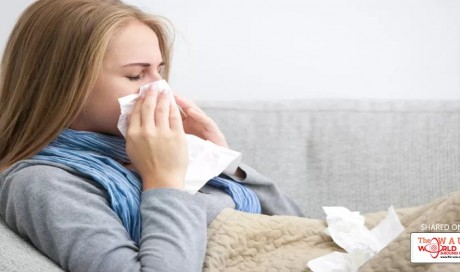 Summer Cold or Simply Summer Allergies?
