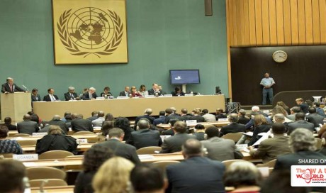 India objects to Pakistan raising Kashmir issue at UN forum