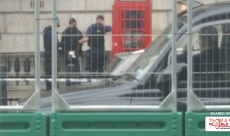 Man with knives arrested near Parliament