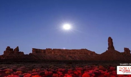 24 national monuments threatened by Trump's executive order