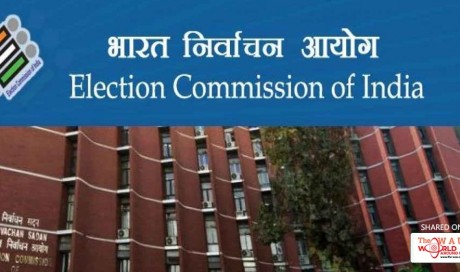 Future Elections To Have Paper Trail Voting, Says Poll Body: 10 Facts