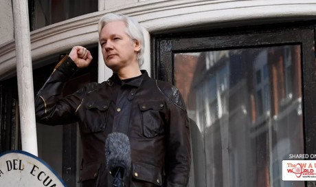 'The war has just begun': Julian Assange defiant after Swedes drop investigation