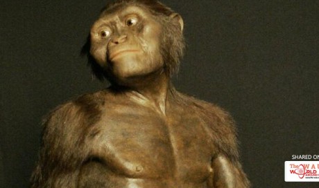 Scientists discover Europe was the birthplace of mankind, not Africa
