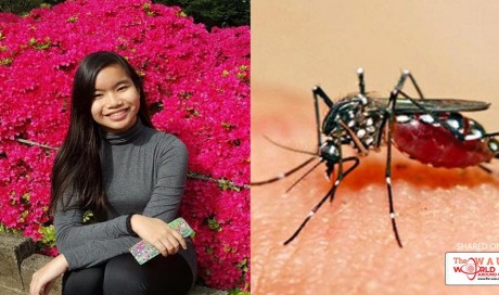 Deadly Sickness Is Being Spread Through Mosquito Bites! Read This!